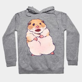 scared screaming shook hamster meme Hoodie